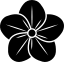 Суфизм - icon